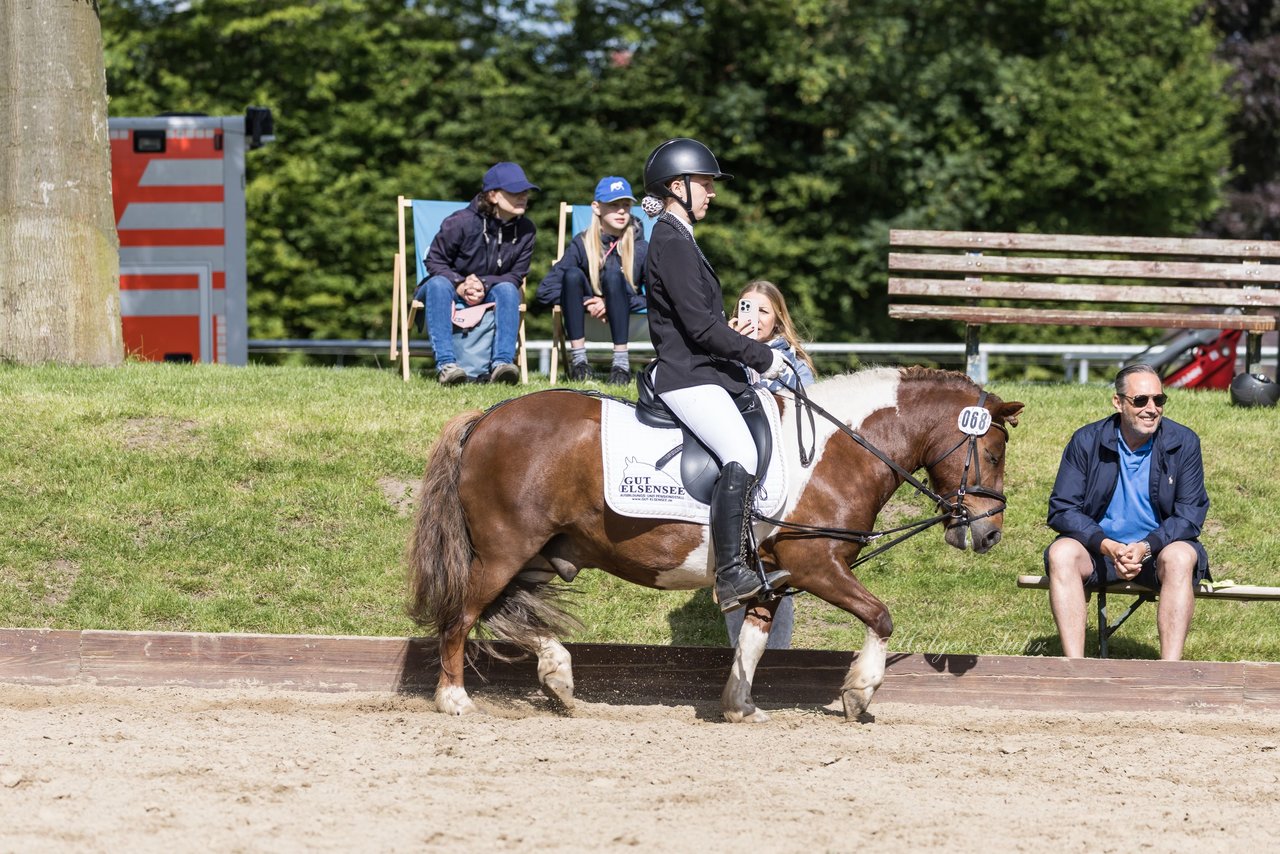 Bild 265 - Pony Akademie Turnier